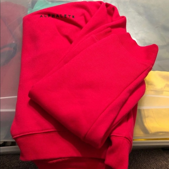 Alphalete hoodie SOLD - Picture 1 of 2